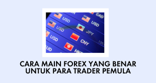 Cara Main Forex