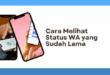 Cara Melihat Status WA yang Sudah Lama