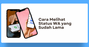 Cara Melihat Status WA yang Sudah Lama